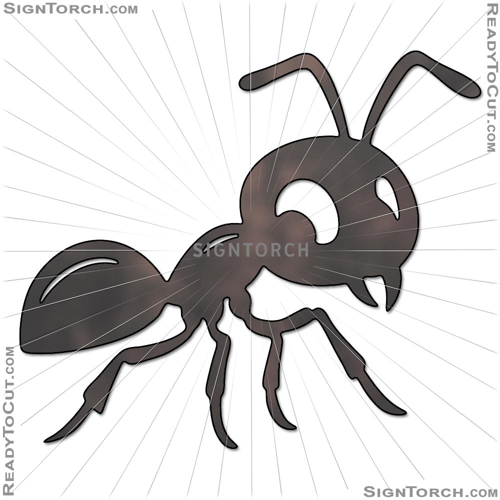 ant7006.jpg