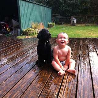 baby_boy_with_dog_portrait=_zoom.jpg