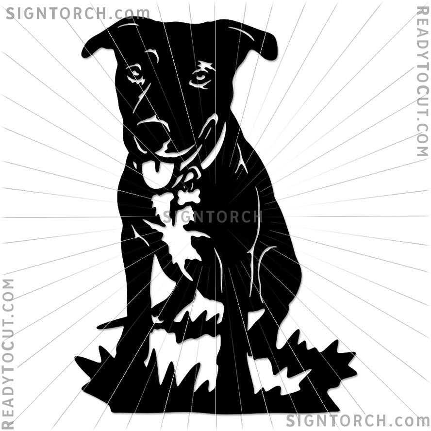 dog_portrait6583b.jpg