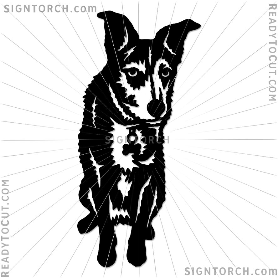 dog_portrait7086.jpg