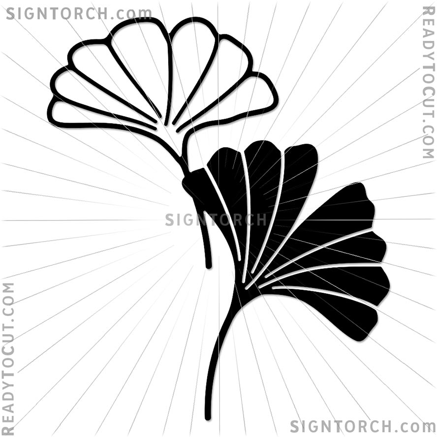 ginkgo_leaves6547.jpg