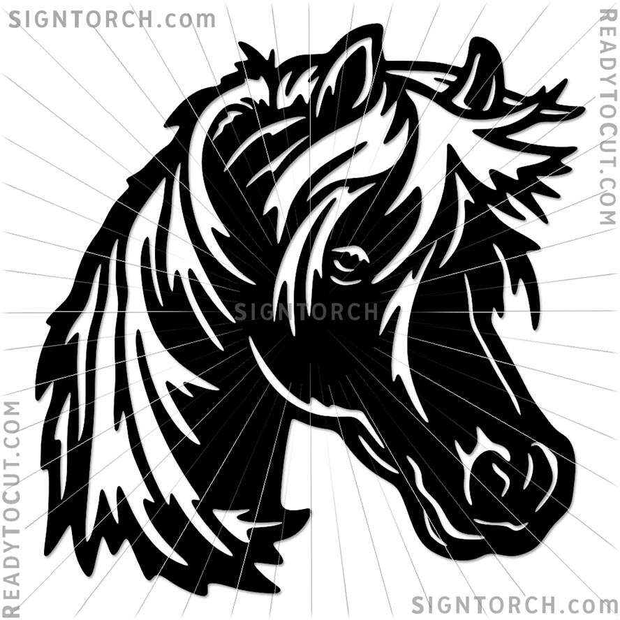 horse6608.jpg